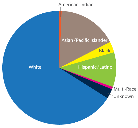 ethnicity pie chart usa - Part.tscoreks.org