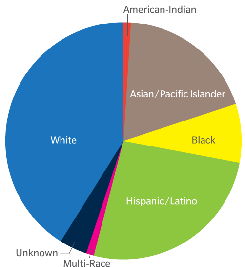 Image result for usa ethnicity pie chart