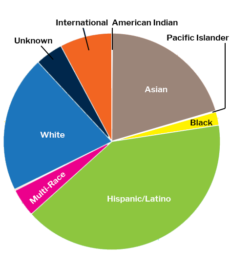 Ethnicity Pie Chart Usa